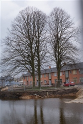 Bomen Effect Analyse
