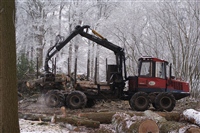 herstelproject de Colckhof