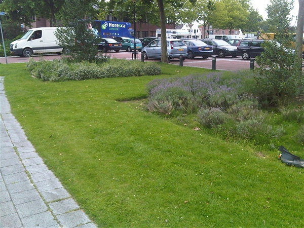 Bomen effect analyse
