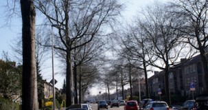 bomeninventarisatie bussum - WBG Advies