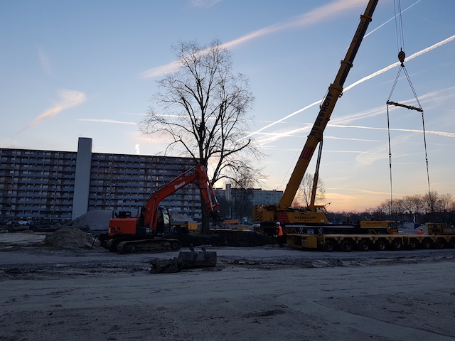 Boomverplanting van een linde in Uithoorn WBG Advies