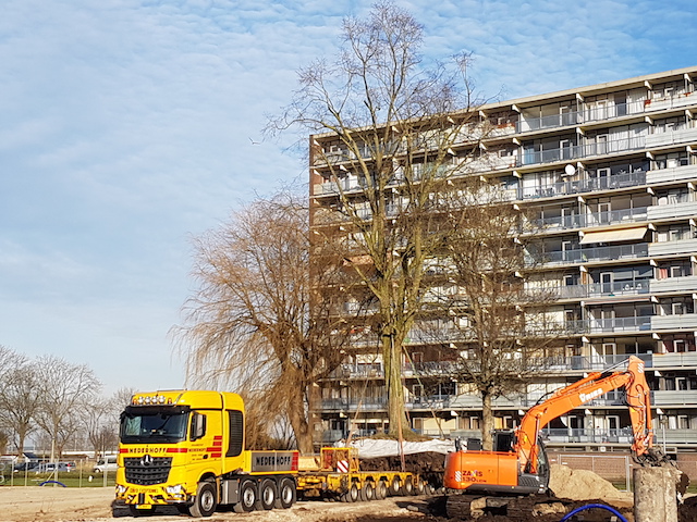 Boomverplanting van een linde in Uithoorn WBG Advies